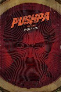 Pushpa: The Rise – Part 1 (2021)