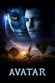 Avatar 2009 Dual audio Hindi Dubbed-English Full Movie – 480p | 720p | 1080p – 500MB | 1.6GB | 3.8GB – Download