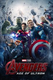 Avengers: Age of Ultron (2015) [Hindi-English]