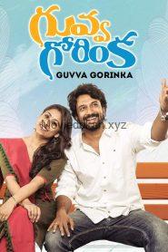 Guvva Gorinka (2020) Dual Audio [Hindi-Telugu]