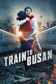 Train to Busan (2016) Dual Audio [Hindi-Korean]