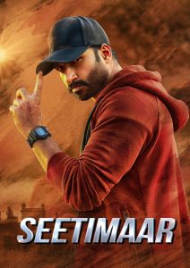Seetimaarr (2021) [Hindi ORG-Telugu]