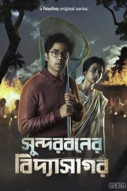 Sundarbaner Vidyasagar (2022) S01