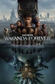 Black Panther: Wakanda Forever (2022) [Hindi Clean]